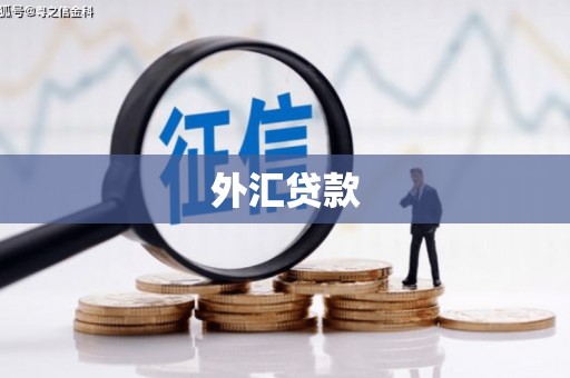 永州外汇贷款
