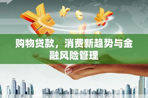 永州购物贷款，消费新趋势与金融风险管理