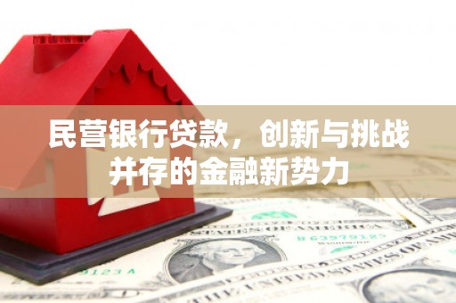永州民营银行贷款，创新与挑战并存的金融新势力