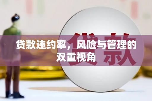 永州贷款违约率，风险与管理的双重视角