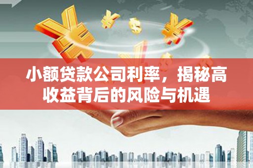 永州小额贷款公司利率，揭秘高收益背后的风险与机遇