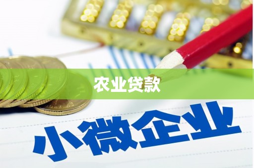 永州农业贷款