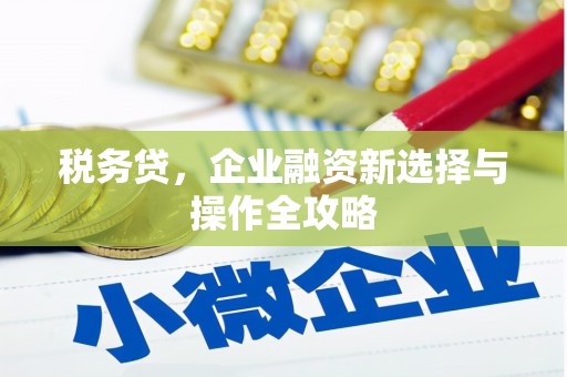 永州税务贷，企业融资新选择与操作全攻略