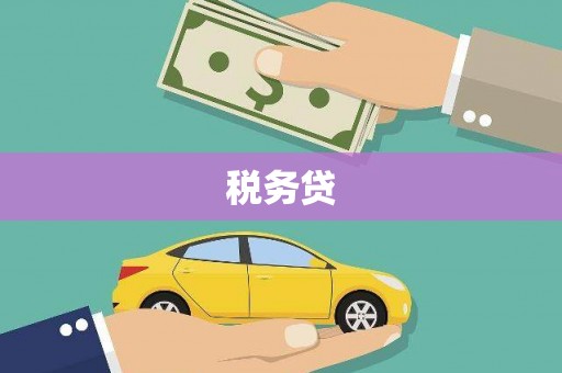 永州税务贷