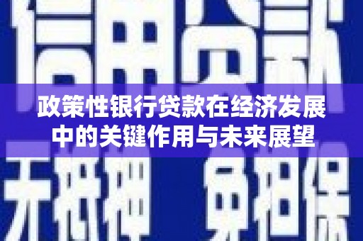 永州政策性银行贷款在经济发展中的关键作用与未来展望