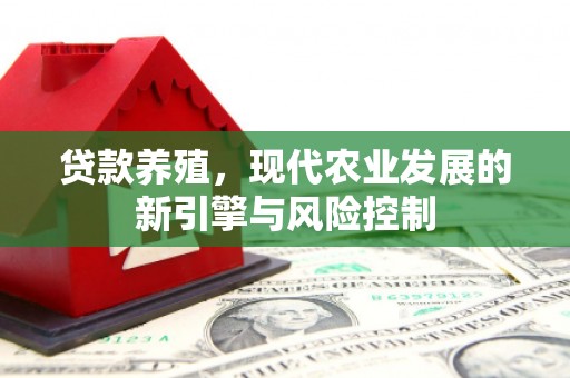永州贷款养殖，现代农业发展的新引擎与风险控制