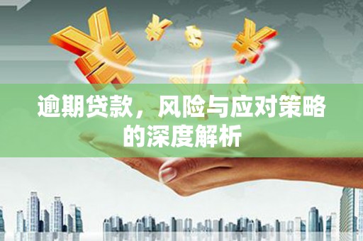 永州逾期贷款，风险与应对策略的深度解析