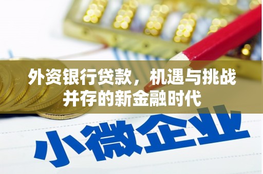 永州外资银行贷款，机遇与挑战并存的新金融时代
