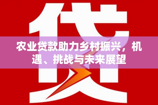 永州农业贷款助力乡村振兴，机遇、挑战与未来展望