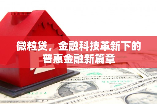 永州微粒贷，金融科技革新下的普惠金融新篇章