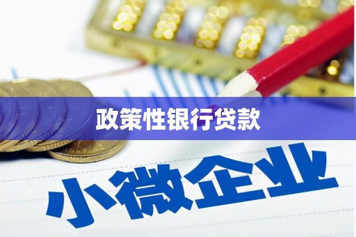 永州政策性银行贷款