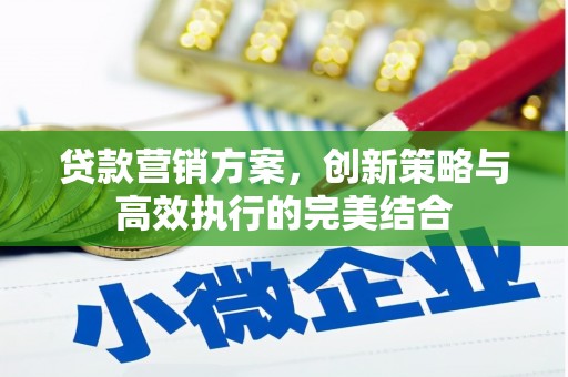 永州贷款营销方案，创新策略与高效执行的完美结合