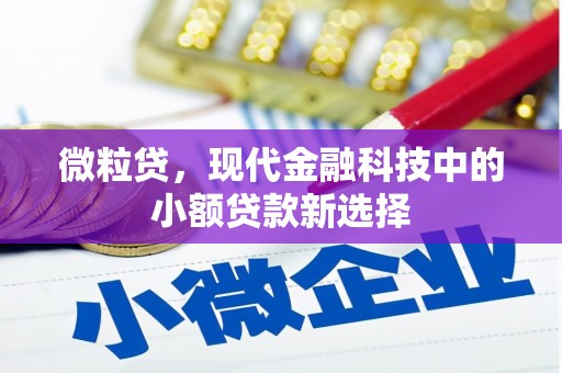 永州微粒贷，现代金融科技中的小额贷款新选择
