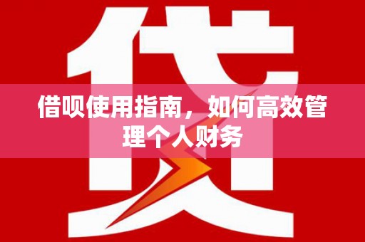 永州借呗使用指南，如何高效管理个人财务