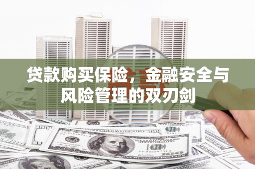 永州贷款购买保险，金融安全与风险管理的双刃剑