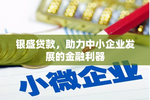 永州银盛贷款，助力中小企业发展的金融利器
