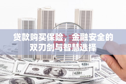 永州贷款购买保险，金融安全的双刃剑与智慧选择