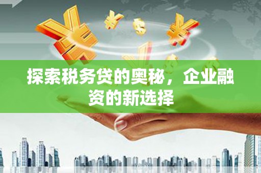 永州探索税务贷的奥秘，企业融资的新选择