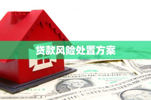 永州贷款风险处置方案