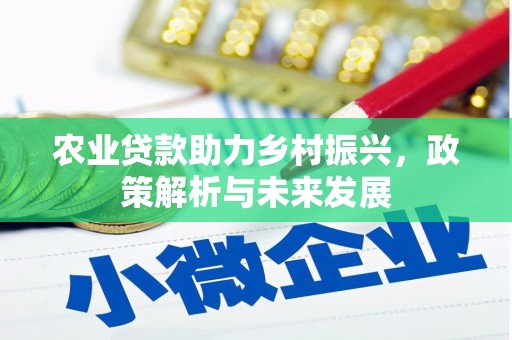 永州农业贷款助力乡村振兴，政策解析与未来发展