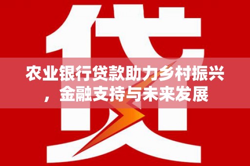永州农业银行贷款助力乡村振兴，金融支持与未来发展