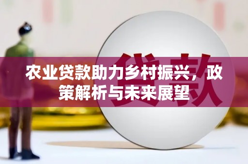 永州农业贷款助力乡村振兴，政策解析与未来展望
