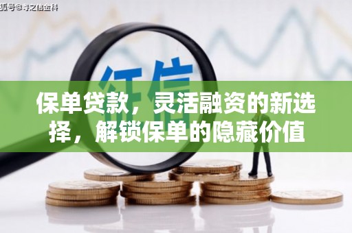 永州保单贷款，灵活融资的新选择，解锁保单的隐藏价值