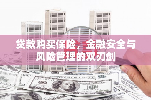 永州贷款购买保险，金融安全与风险管理的双刃剑