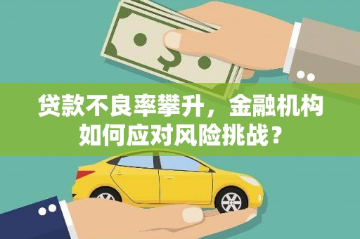 永州贷款不良率攀升，金融机构如何应对风险挑战？