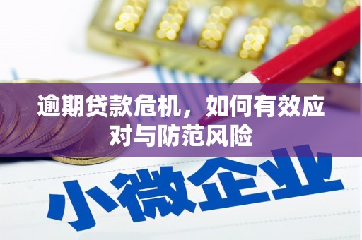 永州逾期贷款危机，如何有效应对与防范风险
