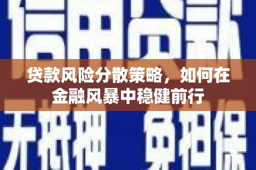永州贷款风险分散策略，如何在金融风暴中稳健前行