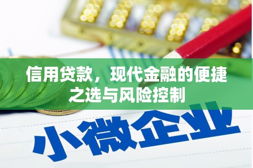 永州信用贷款，现代金融的便捷之选与风险控制