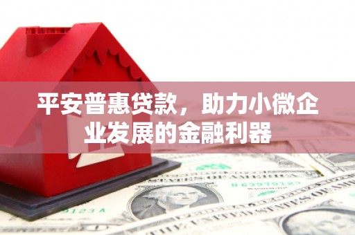 永州平安普惠贷款，助力小微企业发展的金融利器