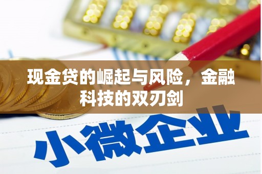 永州现金贷的崛起与风险，金融科技的双刃剑
