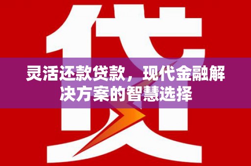 永州灵活还款贷款，现代金融解决方案的智慧选择