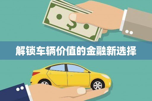 永州解锁车辆价值的金融新选择