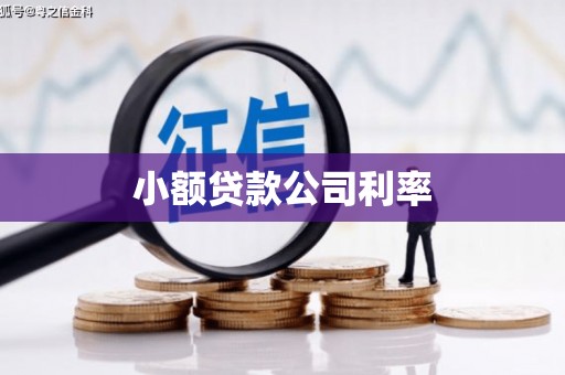永州小额贷款公司利率