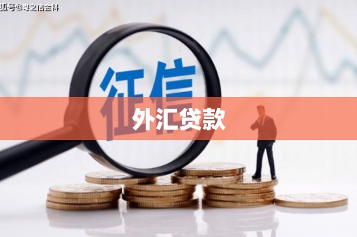永州外汇贷款