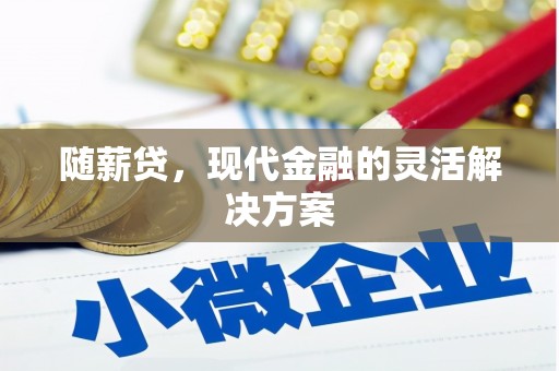 永州随薪贷，现代金融的灵活解决方案