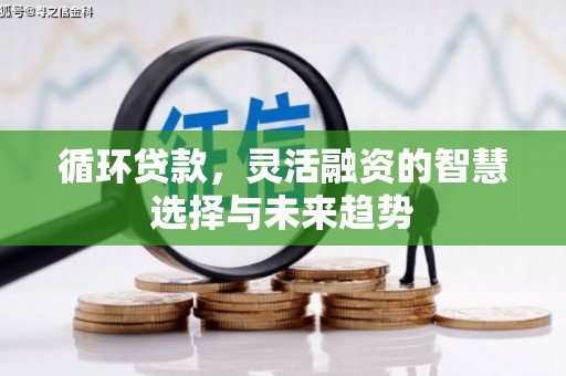 永州循环贷款，灵活融资的智慧选择与未来趋势