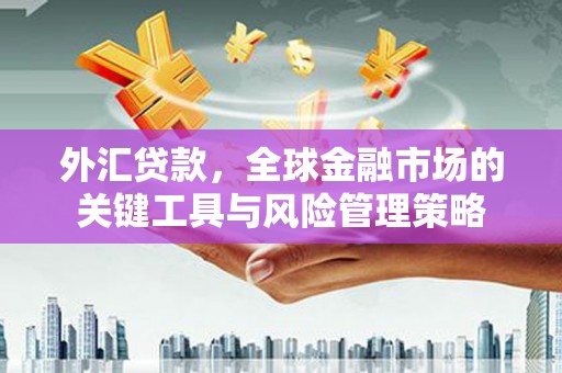 永州外汇贷款，全球金融市场的关键工具与风险管理策略
