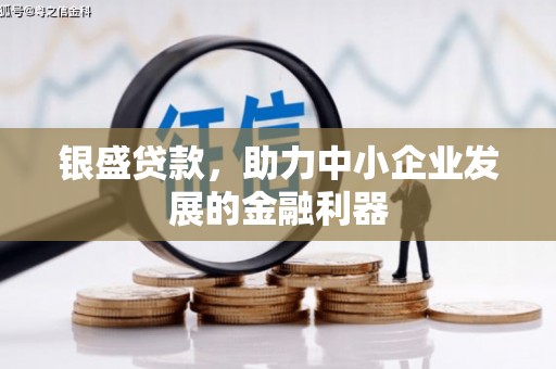 永州银盛贷款，助力中小企业发展的金融利器