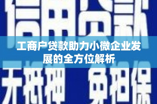 永州工商户贷款助力小微企业发展的全方位解析