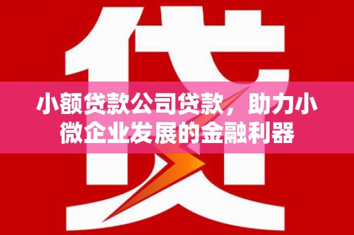 永州小额贷款公司贷款，助力小微企业发展的金融利器