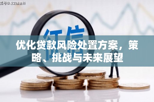 永州优化贷款风险处置方案，策略、挑战与未来展望