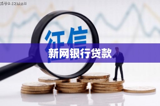 永州新网银行贷款