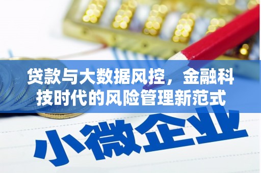 永州贷款与大数据风控，金融科技时代的风险管理新范式