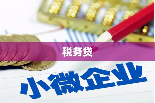 永州税务贷