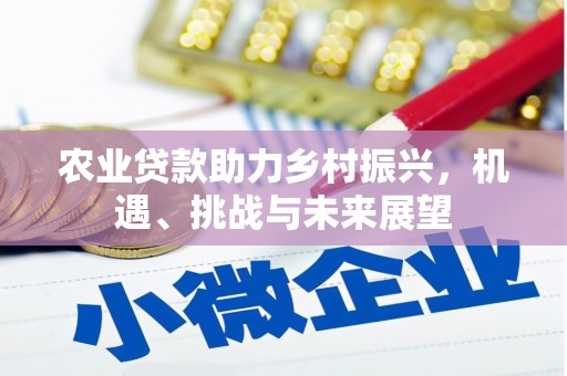 永州农业贷款助力乡村振兴，机遇、挑战与未来展望