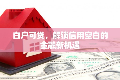 永州白户可贷，解锁信用空白的金融新机遇